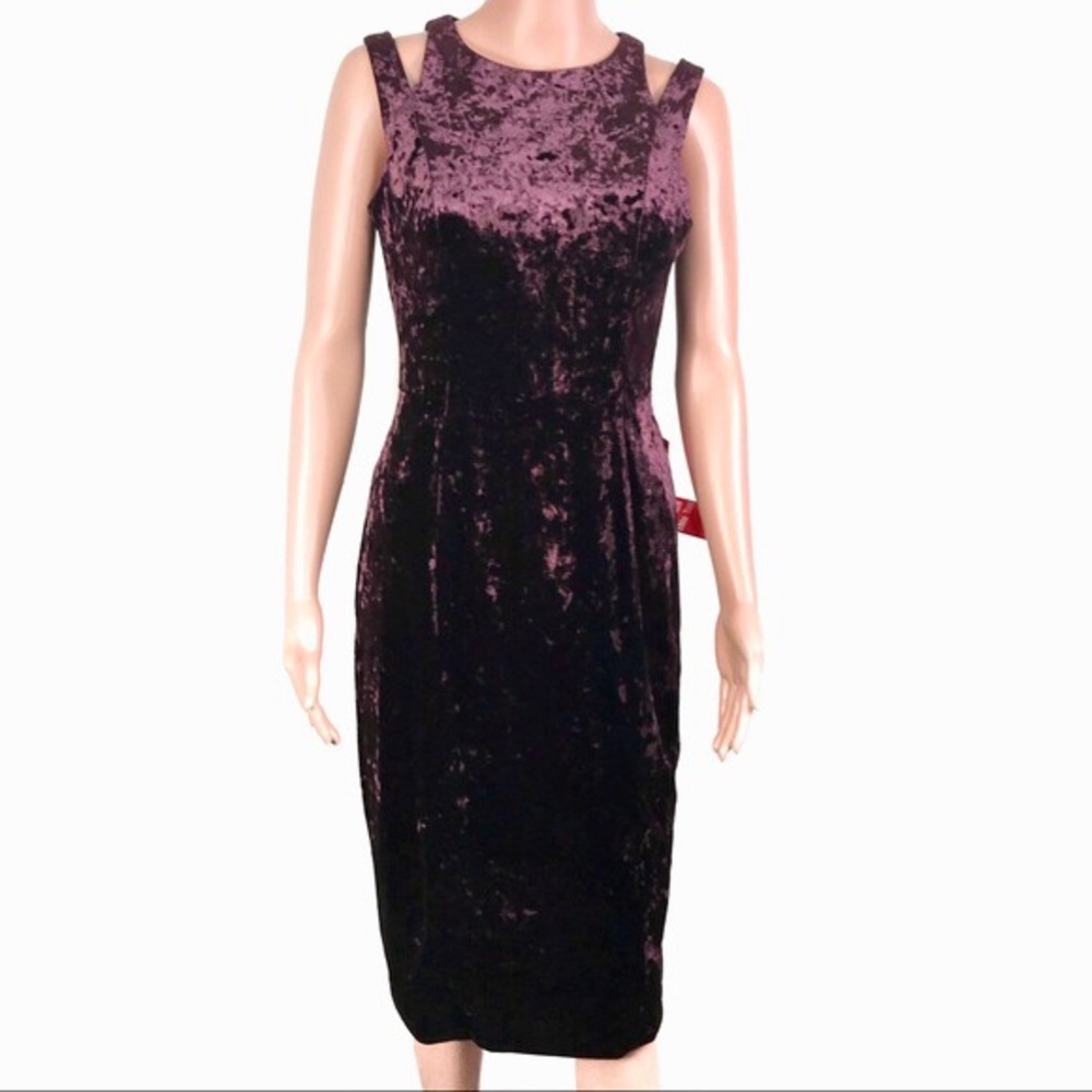 NWT Maggy London Velvet Dress